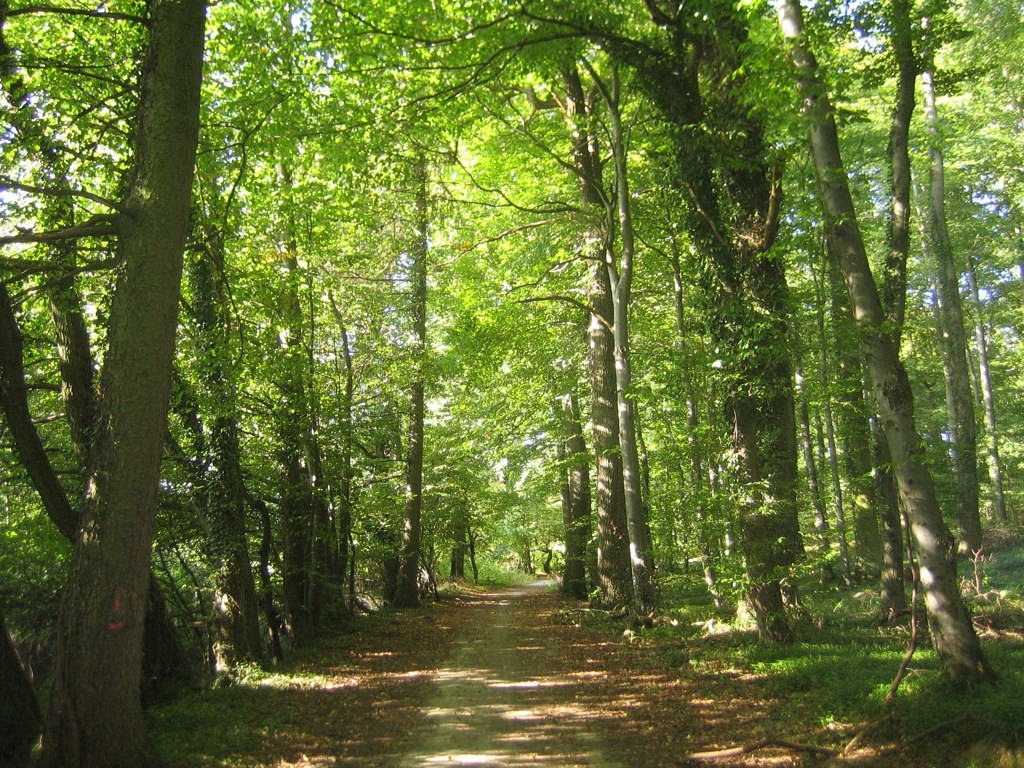 L'Àrea Metropolitana, Ciutat del Bosc Europea 2022